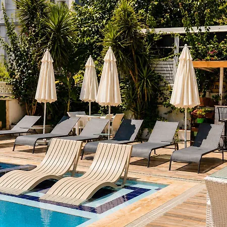 Nfk The House Antalya